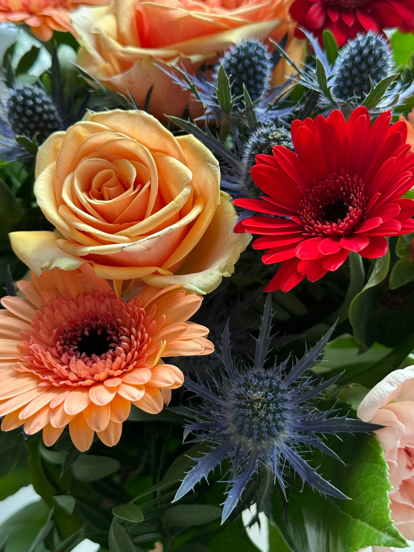 Pembe Gerbera Buketi