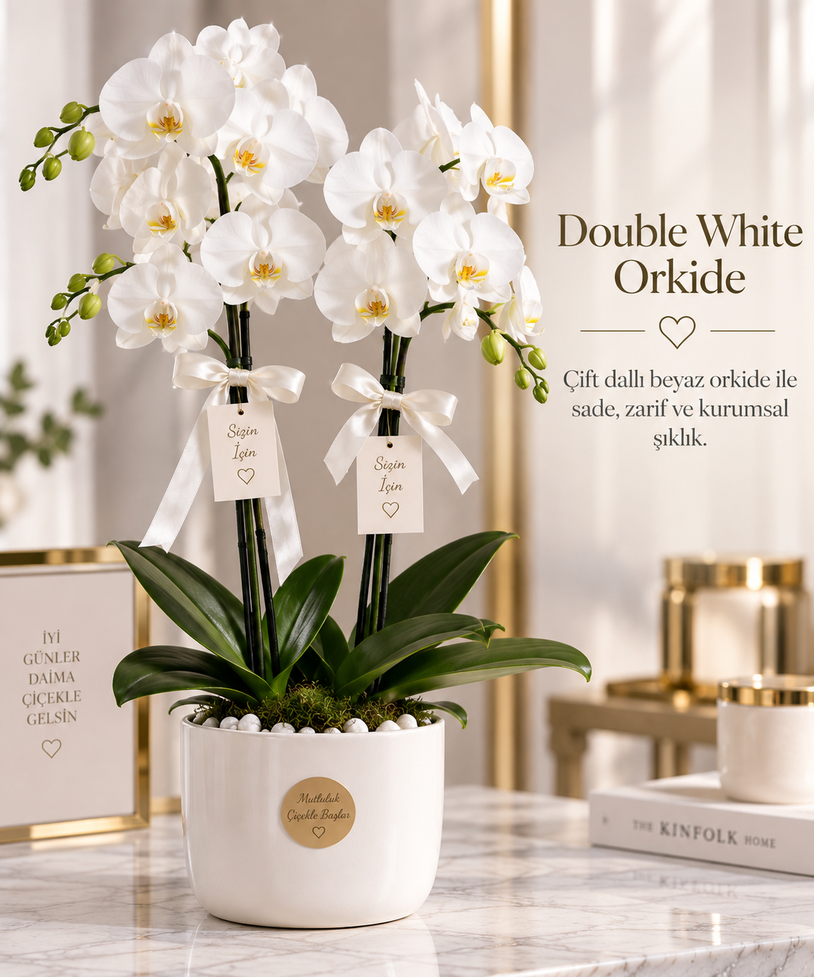Double White Orkide